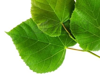 丈夫与左手好句子