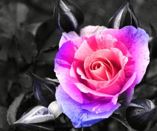 祝好句子 祝好句子