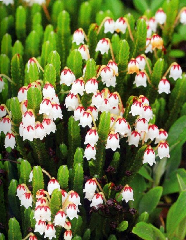 分别的祝福句子