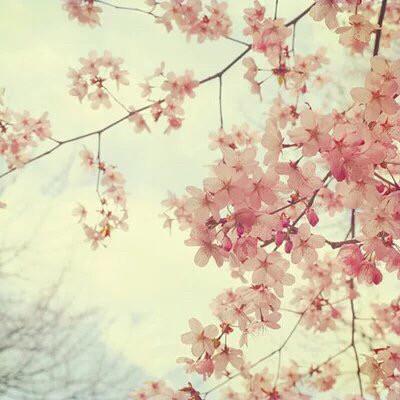 会痛的17岁语录