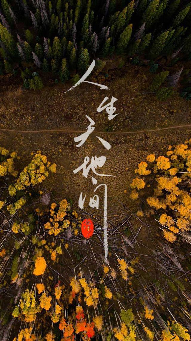 手写表白句子图片