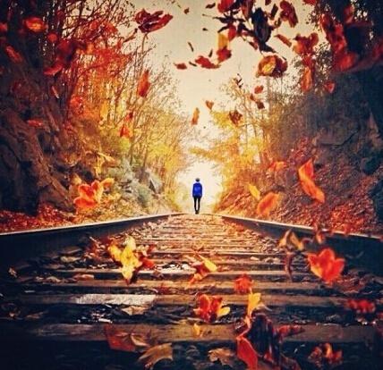 古人处世之道 经典语录