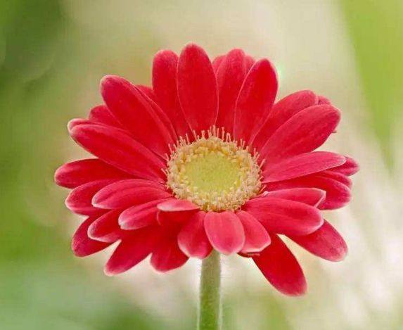 感情事业说说句子