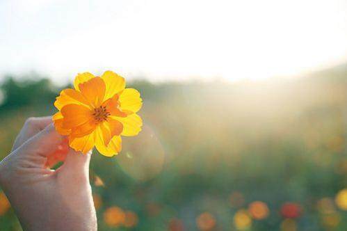 20个字以内的唯美句子