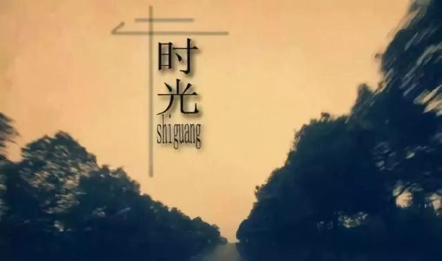 赞美税务的句子