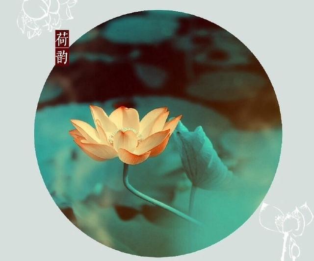 禅悟人生佛语句子