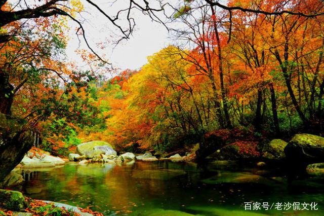 歌颂秋天的诗词名句