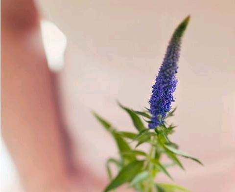 晚安语录唯美图片