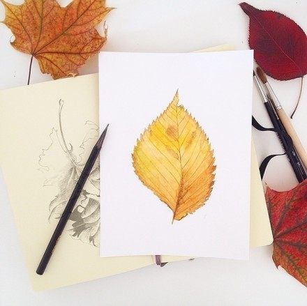 没心没肺的经典句子