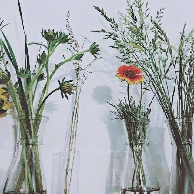 照顾自己的语录