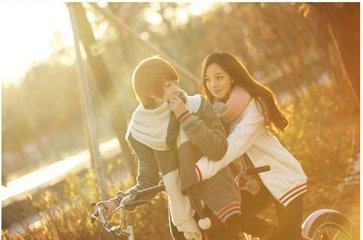 爱情像什么句子