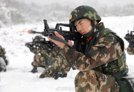 猛虎雪中行文中的好句