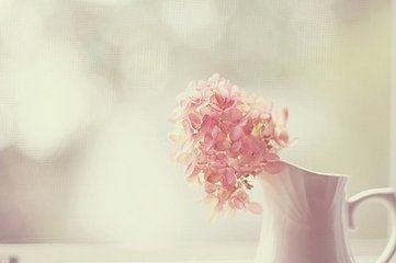 表白专用的短句子