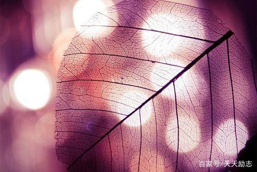 人类潜能的名言名句