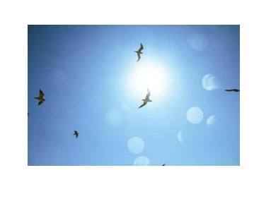 珍惜朋友情感语录