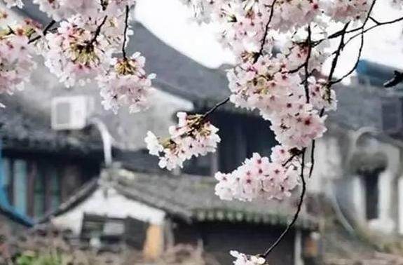 熟悉而又陌生的诗词名句