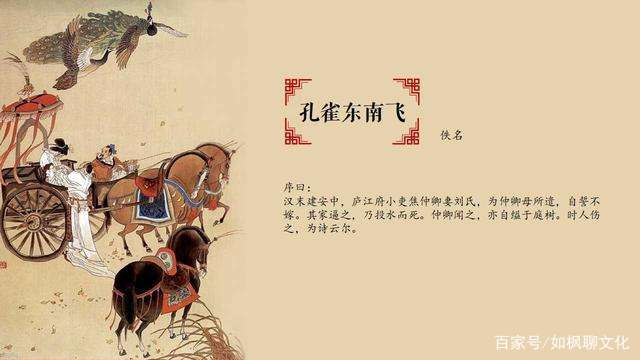 关于孔雀的美好句子