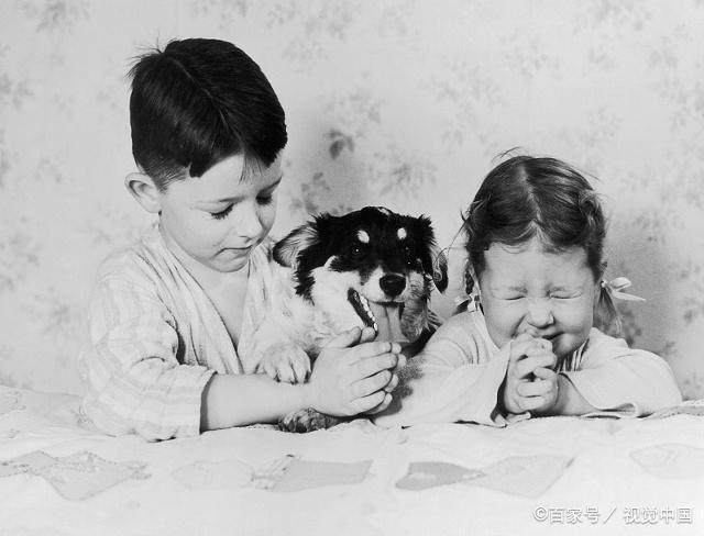 该长大了该成熟了语录