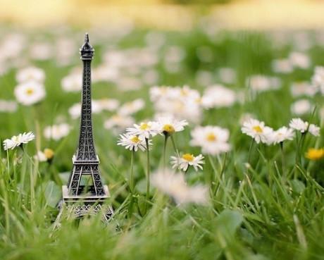 心态的感悟句子