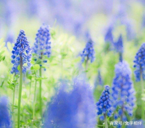 想耍朋友的句子 想耍朋友的句子