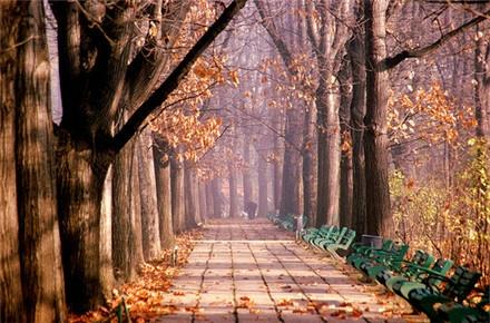 英语简单句子的翻译