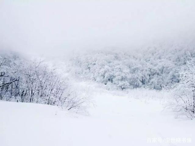 精神孤独的名句