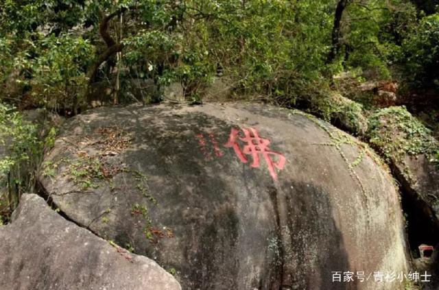 达摩祖师最经典的语录 达摩祖师最经典的语录