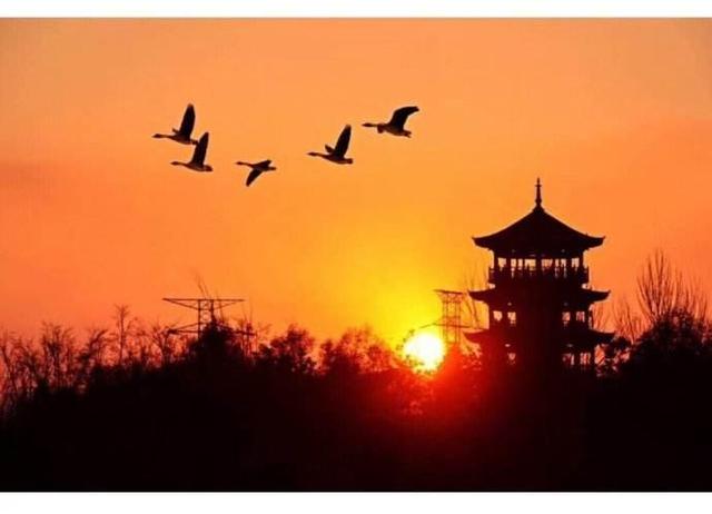 思乡诗的题回作者名句 思乡诗的题回作者名句