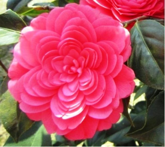 有关伦的句子 有关伦的句子