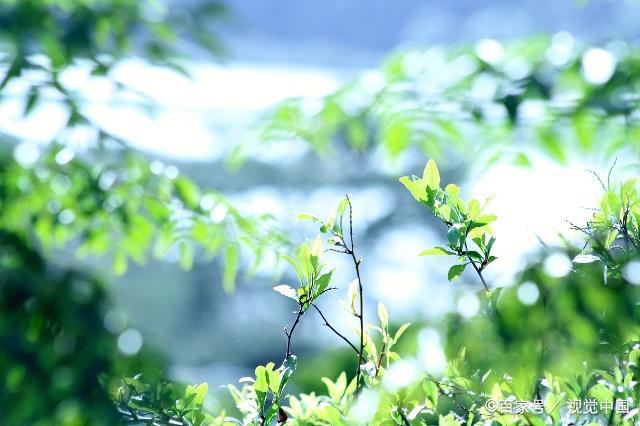 有关记忆的碎片的句子