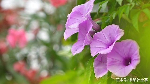 比喻不能回头的句子