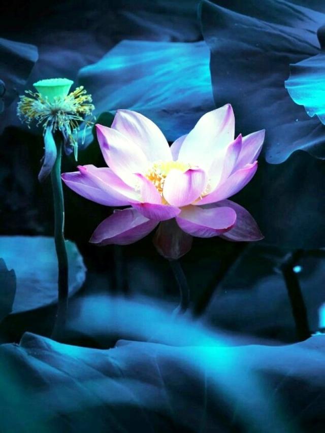 不在留恋的句子