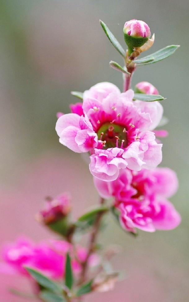 时间去哪里了句子 时间去哪里了句子