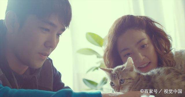 提出意见英语句子