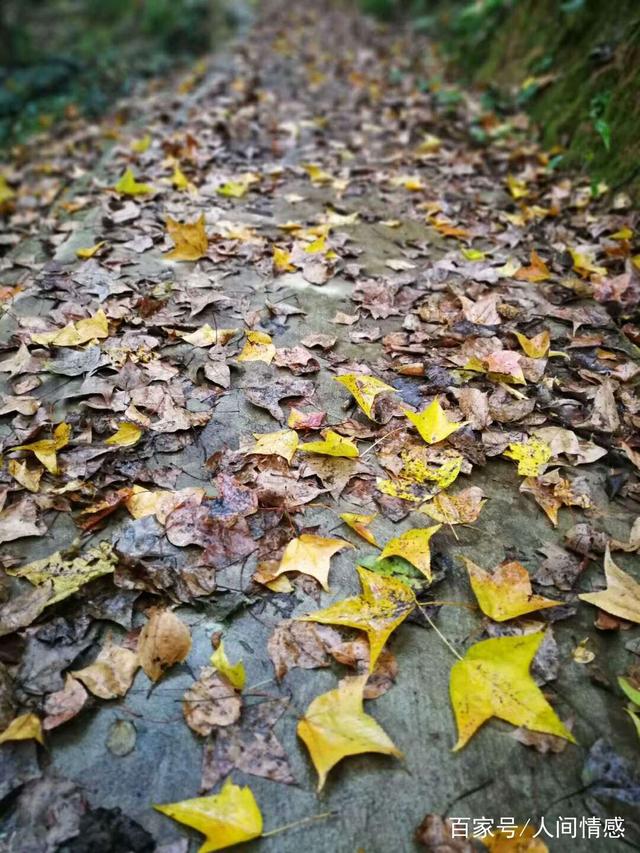 摘抄三十句好句不超过十字 摘抄三十句好句不超过十字