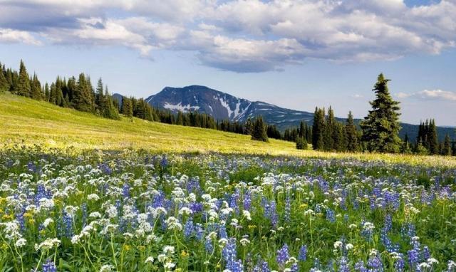 一群人励志语录 一群人励志语录