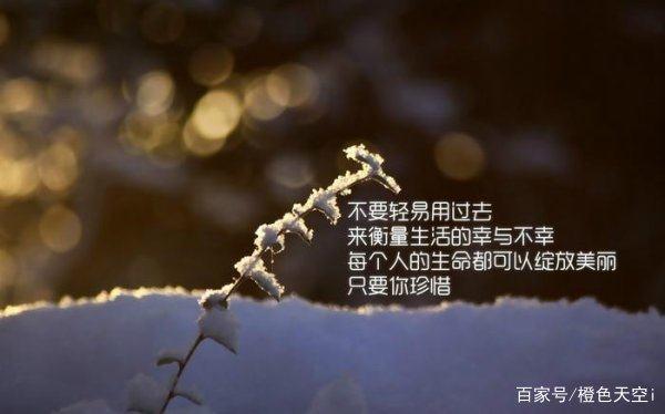 写作名人名句摘抄大全