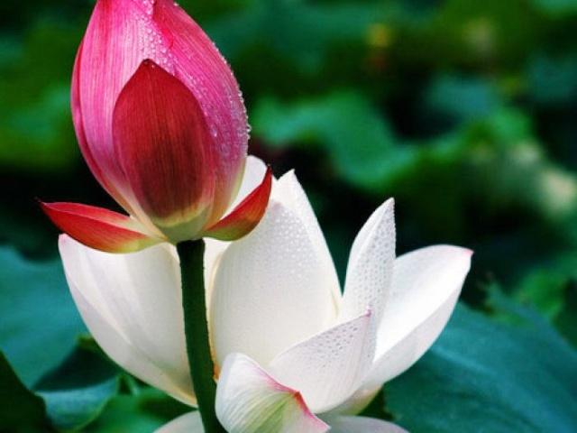 正能量语录自强不息