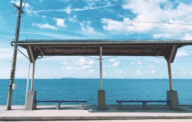 读书快乐的好句子大全