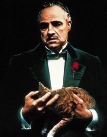 教父经典语录截图