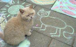 有脚步的英文句子