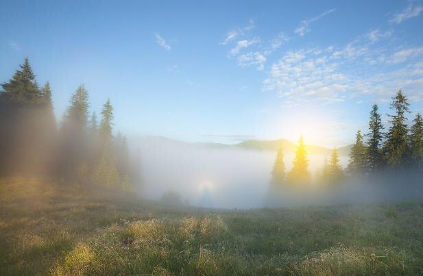 城南旧事好句子体会