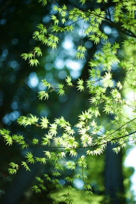 心里不平衡的句子