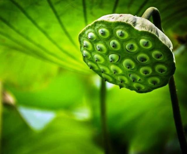 形容善良的人的句子