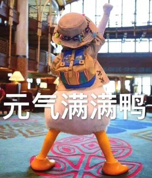 描述腊梅的句子 描述腊梅的句子