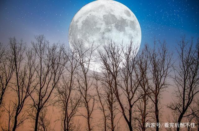 文学名著名句常识竞 文学名著名句常识竞