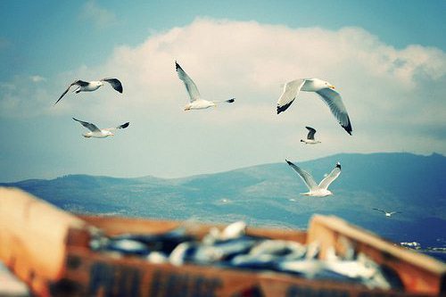 形容悲惨的句子