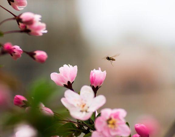 形容茅塞顿开的句子