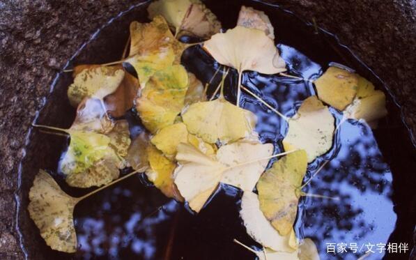 关于秋天的美好句子是
