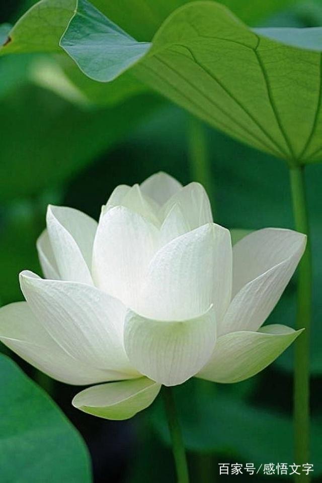 走错一步失败的句子 走错一步失败的句子